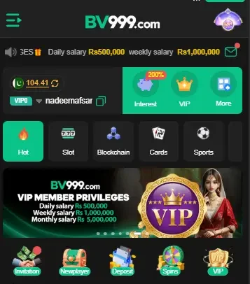bv999 game official dashboard