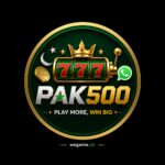 PAK500 Game Official Image