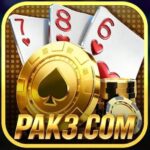 Pak3 Game Official Image