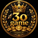 3O Game Official Image