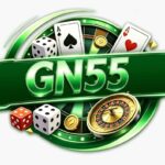 GN55 Game Official Image