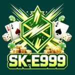 SK E999 Game Official Image
