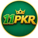 11PKR Game Official Image