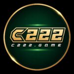 C222 Game APK